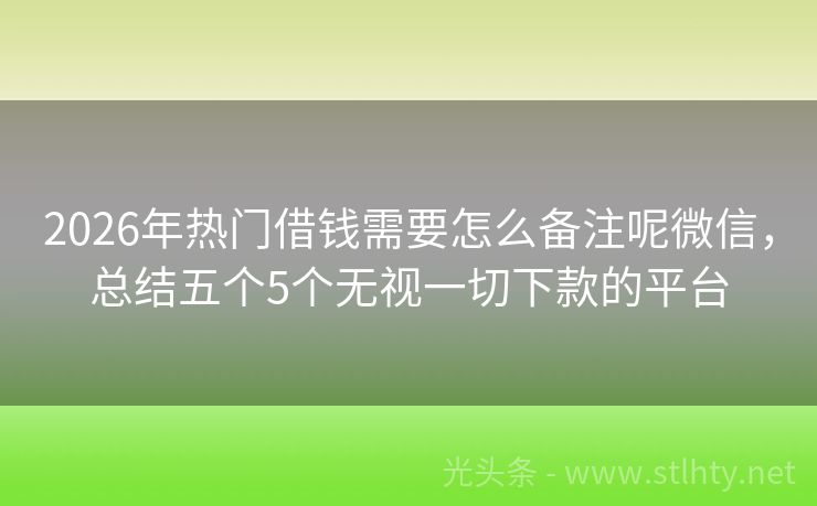 2026年热门借钱需要怎么备注呢微信，总结五个5个无视一切下款的平台