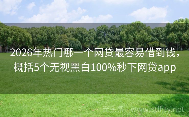 2026年热门哪一个网贷最容易借到钱，概括5个无视黑白100%秒下网贷app