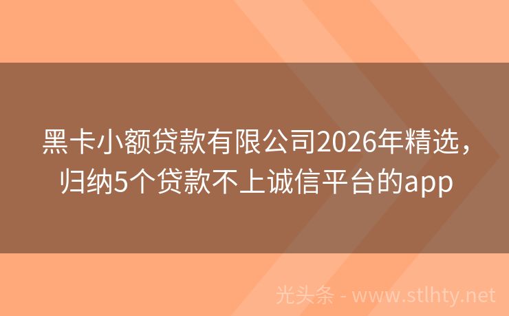 黑卡小额贷款有限公司2026年精选，归纳5个贷款不上诚信平台的app