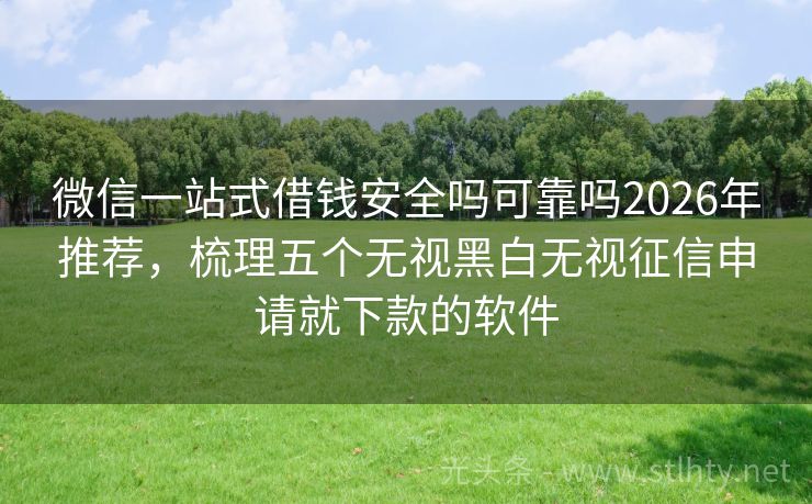 微信一站式借钱安全吗可靠吗2026年推荐，梳理五个无视黑白无视征信申请就下款的软件