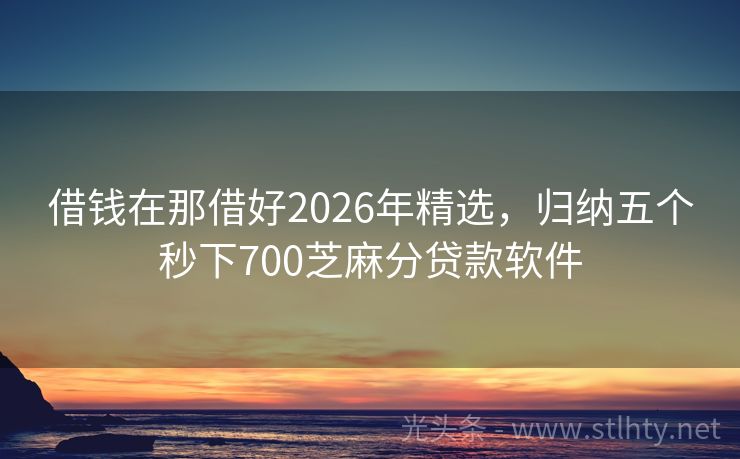 借钱在那借好2026年精选，归纳五个秒下700芝麻分贷款软件