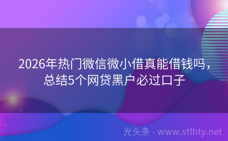 2026年热门微信微小借真能借钱吗，总结5个网贷黑户必过口子