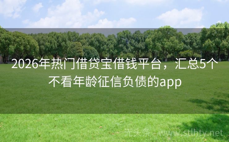 2026年热门借贷宝借钱平台，汇总5个不看年龄征信负债的app