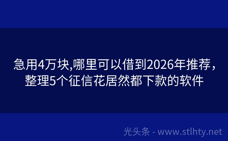 急用4万块,哪里可以借到2026年推荐，整理5个征信花居然都下款的软件