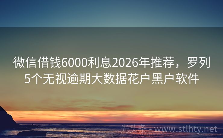 微信借钱6000利息2026年推荐，罗列5个无视逾期大数据花户黑户软件