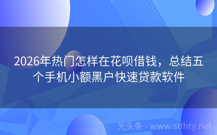 2026年热门怎样在花呗借钱，总结五个手机小额黑户快速贷款软件