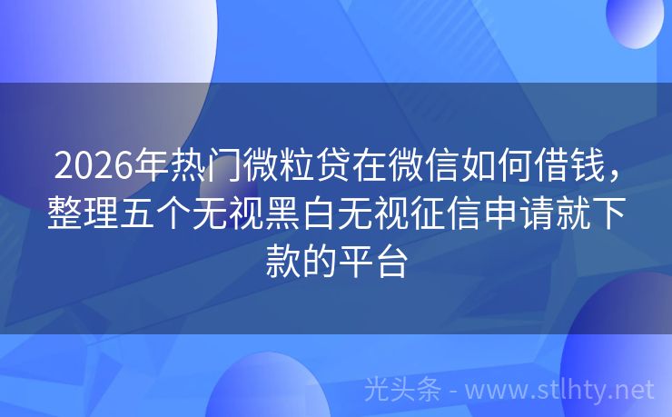 2026年热门微粒贷在微信如何借钱，整理五个无视黑白无视征信申请就下款的平台