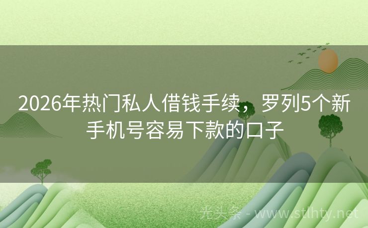 2026年热门私人借钱手续，罗列5个新手机号容易下款的口子
