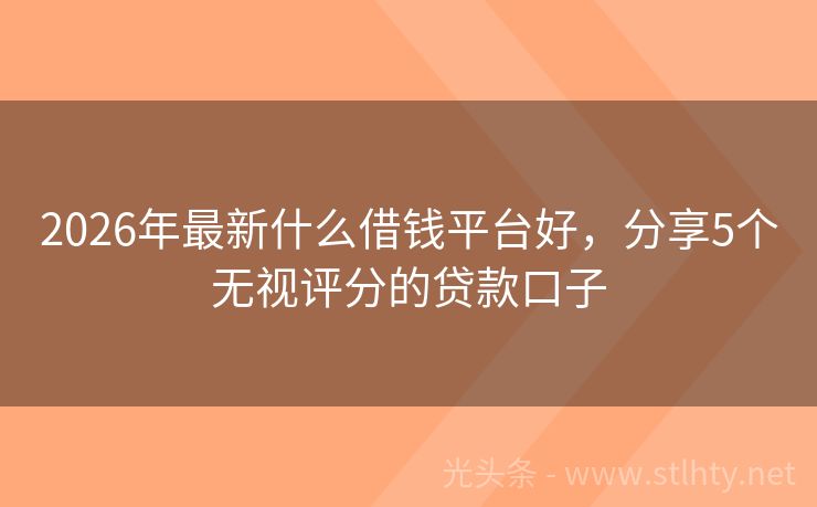2026年最新什么借钱平台好，分享5个无视评分的贷款口子