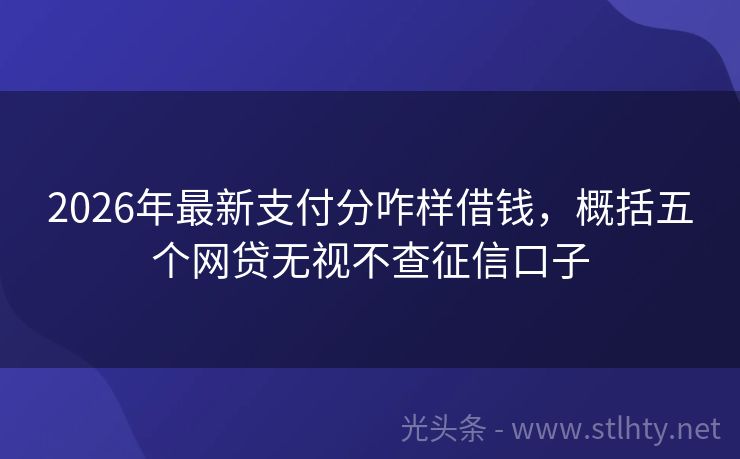 2026年最新支付分咋样借钱，概括五个网贷无视不查征信口子