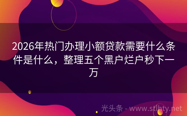 2026年热门办理小额贷款需要什么条件是什么，整理五个黑户烂户秒下一万