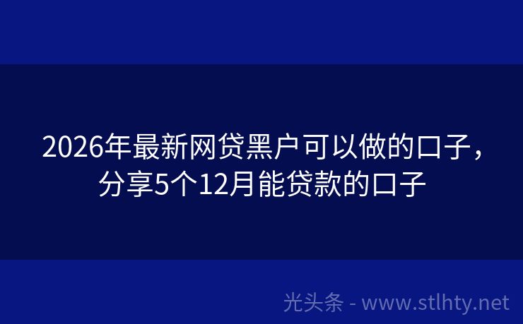 2026年最新网贷黑户可以做的口子，分享5个12月能贷款的口子