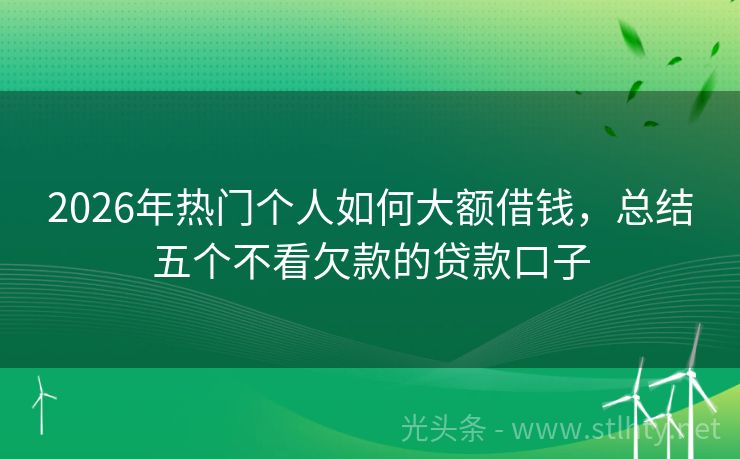 2026年热门个人如何大额借钱，总结五个不看欠款的贷款口子