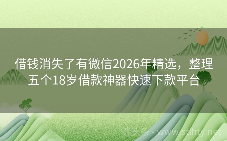 借钱消失了有微信2026年精选，整理五个18岁借款神器快速下款平台