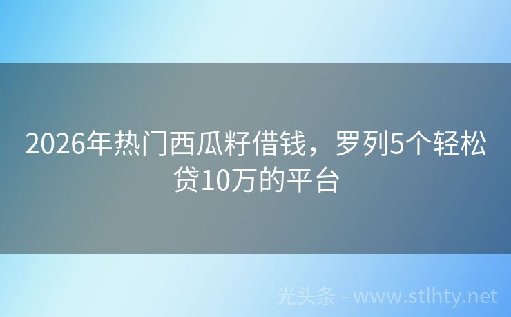 2026年热门西瓜籽借钱，罗列5个轻松贷10万的平台