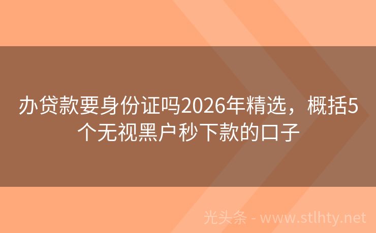 办贷款要身份证吗2026年精选，概括5个无视黑户秒下款的口子