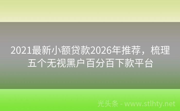2021最新小额贷款2026年推荐，梳理五个无视黑户百分百下款平台