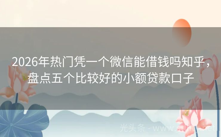 2026年热门凭一个微信能借钱吗知乎，盘点五个比较好的小额贷款口子