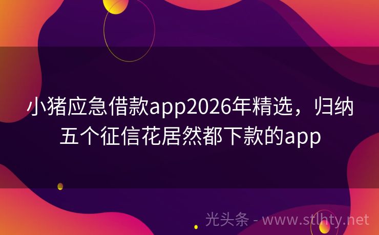 小猪应急借款app2026年精选，归纳五个征信花居然都下款的app
