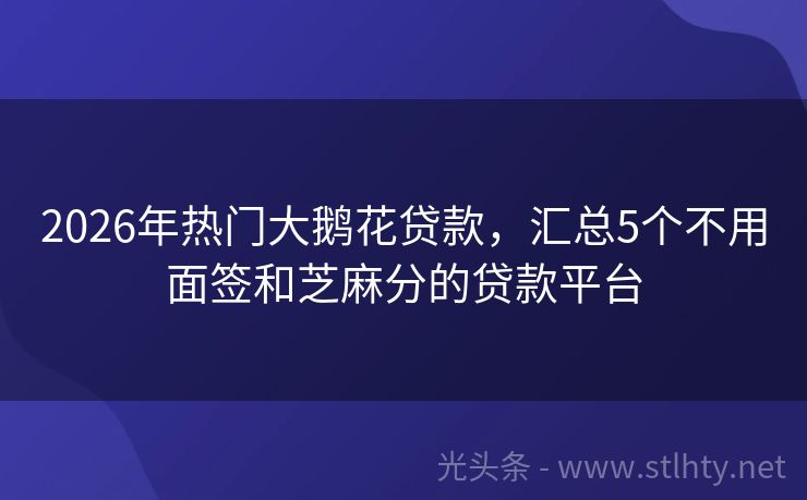 2026年热门大鹅花贷款，汇总5个不用面签和芝麻分的贷款平台