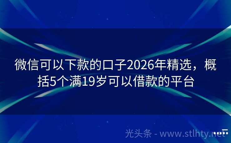微信可以下款的口子2026年精选，概括5个满19岁可以借款的平台
