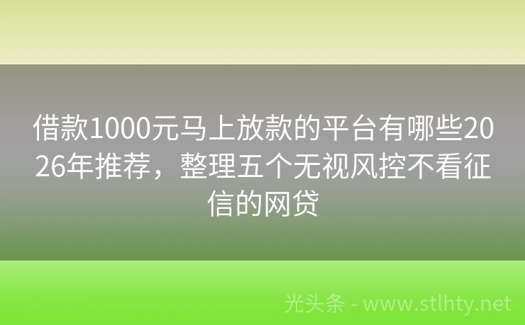 借款1000元马上放款的平台有哪些2026年推荐，整理五个无视风控不看征信的网贷