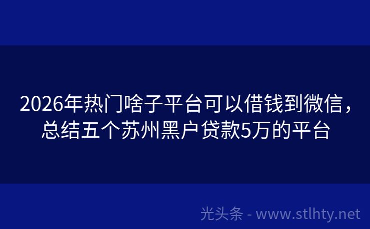 2026年热门啥子平台可以借钱到微信，总结五个苏州黑户贷款5万的平台