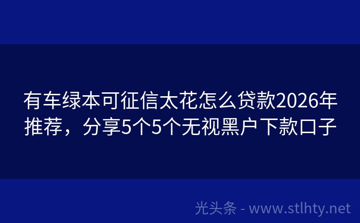 有车绿本可征信太花怎么贷款2026年推荐，分享5个5个无视黑户下款口子
