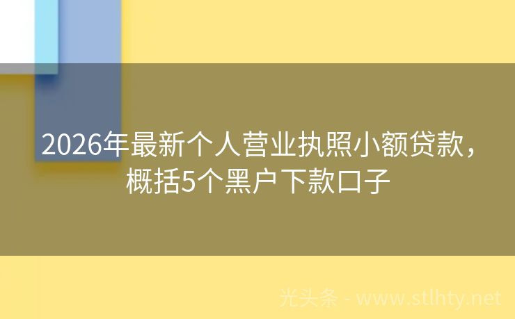 2026年最新个人营业执照小额贷款，概括5个黑户下款口子