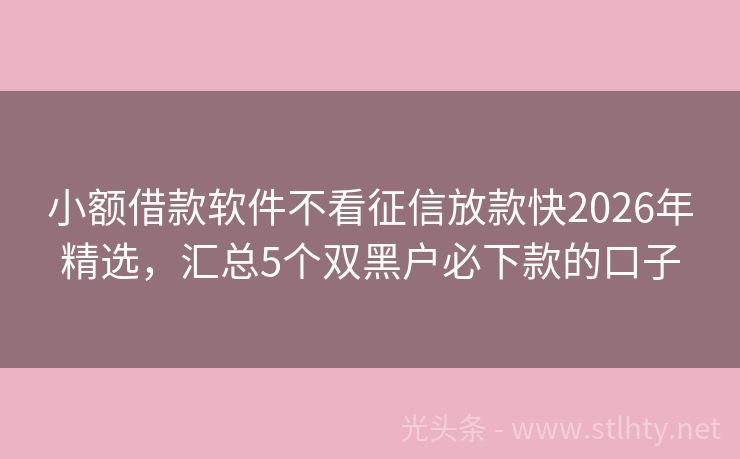 小额借款软件不看征信放款快2026年精选，汇总5个双黑户必下款的口子