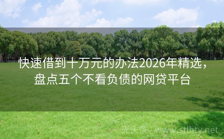 快速借到十万元的办法2026年精选，盘点五个不看负债的网贷平台