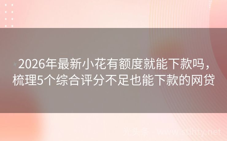 2026年最新小花有额度就能下款吗，梳理5个综合评分不足也能下款的网贷