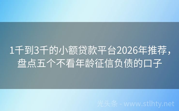 1千到3千的小额贷款平台2026年推荐，盘点五个不看年龄征信负债的口子