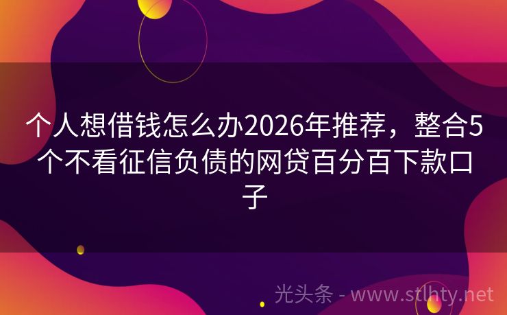 个人想借钱怎么办2026年推荐，整合5个不看征信负债的网贷百分百下款口子