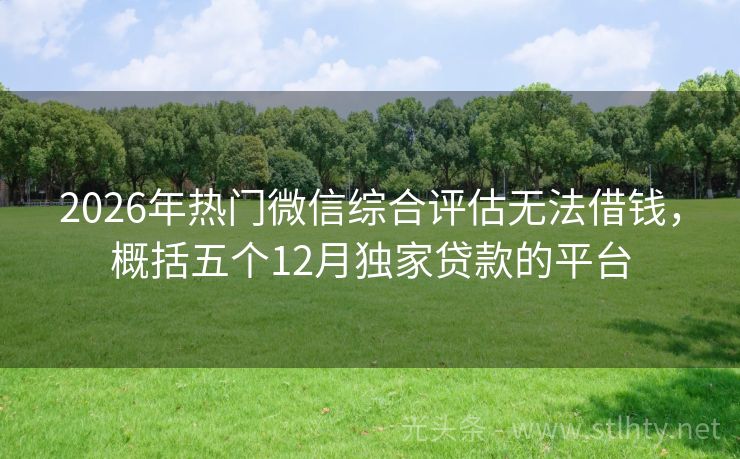 2026年热门微信综合评估无法借钱，概括五个12月独家贷款的平台