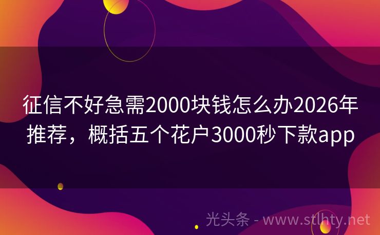 征信不好急需2000块钱怎么办2026年推荐，概括五个花户3000秒下款app