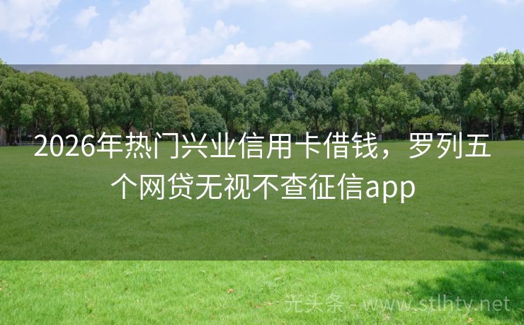 2026年热门兴业信用卡借钱，罗列五个网贷无视不查征信app
