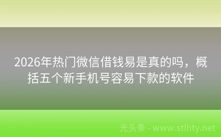 2026年热门微信借钱易是真的吗，概括五个新手机号容易下款的软件