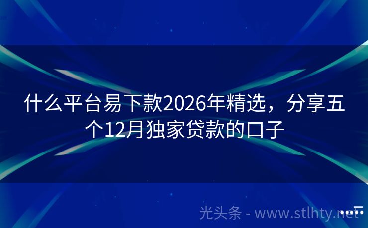 什么平台易下款2026年精选，分享五个12月独家贷款的口子