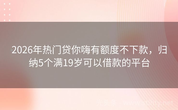 2026年热门贷你嗨有额度不下款，归纳5个满19岁可以借款的平台