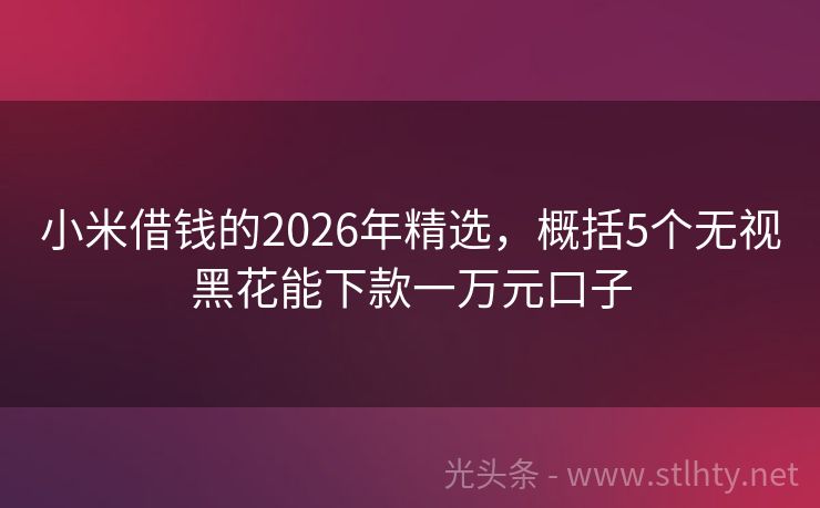 小米借钱的2026年精选，概括5个无视黑花能下款一万元口子
