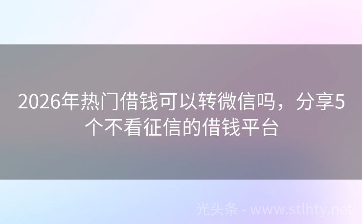 2026年热门借钱可以转微信吗，分享5个不看征信的借钱平台