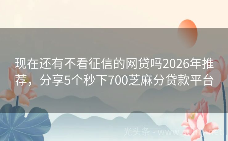 现在还有不看征信的网贷吗2026年推荐，分享5个秒下700芝麻分贷款平台