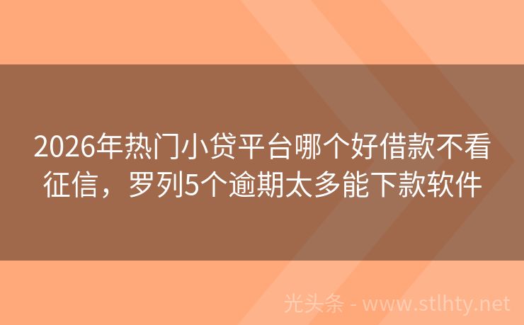 2026年热门小贷平台哪个好借款不看征信,罗列5个逾期太多能下款软件