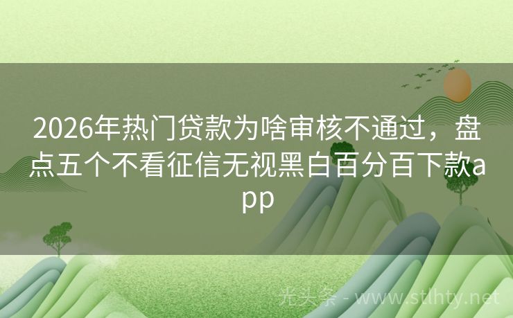2026年热门贷款为啥审核不通过，盘点五个不看征信无视黑白百分百下款app