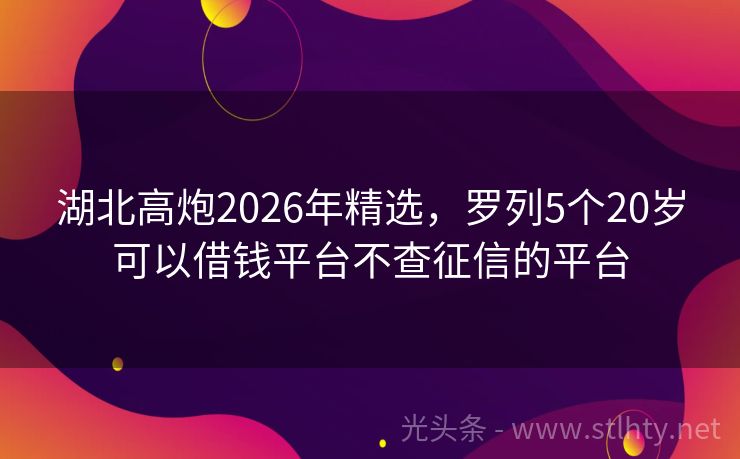 湖北高炮2026年精选，罗列5个20岁可以借钱平台不查征信的平台