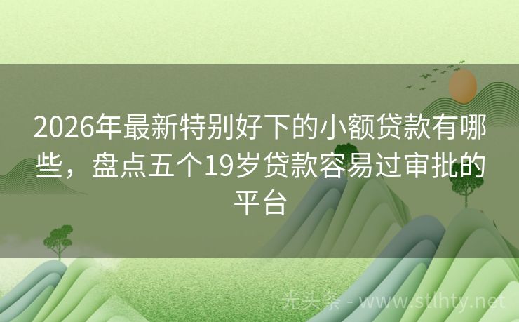 2026年最新特别好下的小额贷款有哪些，盘点五个19岁贷款容易过审批的平台
