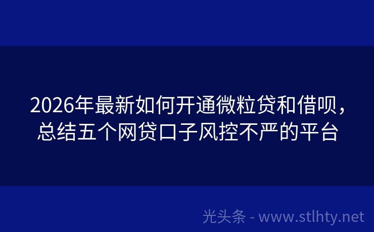 2026年最新如何开通微粒贷和借呗，总结五个网贷口子风控不严的平台