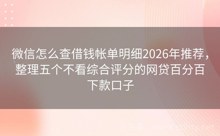 微信怎么查借钱帐单明细2026年推荐，整理五个不看综合评分的网贷百分百下款口子
