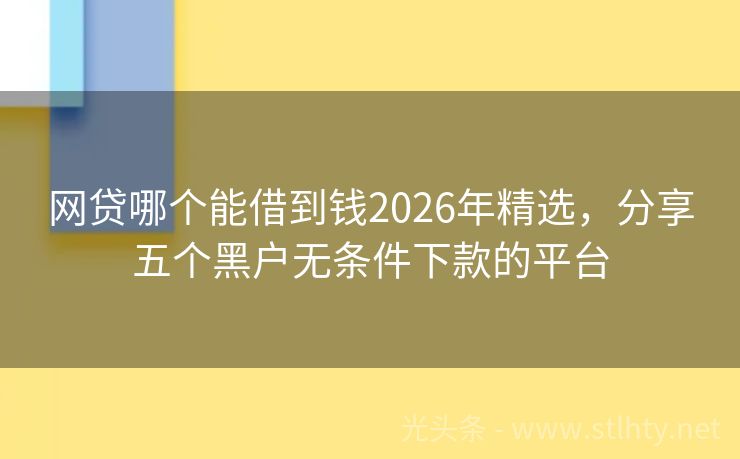 网贷哪个能借到钱2026年精选，分享五个黑户无条件下款的平台